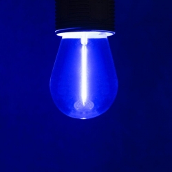 26039_1-212917