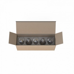 Nowodvorski Żarówka led BULB LED E27, A60 2W, 5 PC SET LED Szkło ~220-230 V MAX: 2W