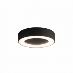 Nowodvorski plafon zewnętrzny MERIDA LED LED x 1 Aluminium lakierowane Tworzywo sztuczne PC Grafitowy ~220-230 V MAX: 12W