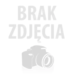 Żar. sam. T10 2 smd led 0,5W biała