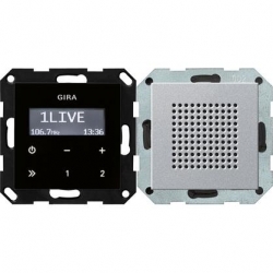 Gira Radio pt. RDS System 55 kolor alumi niowy