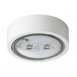 iTECH F2 105 M ST W 317385-303907