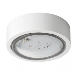 iTECHM5105MATW 317387-303909