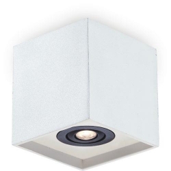 LBL001-238583