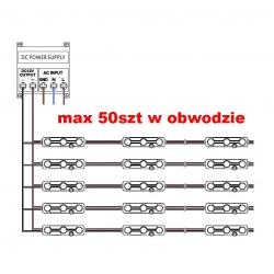 max 50szt w obwodzie-177960