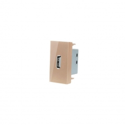 Livolo WUSB-CHARGER-63 MODUŁ SZAMPAŃSKI ŁADOWARKA USB