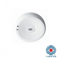 Intelight Oprawa STARLET EXTERNAL SC MT awaryjna LED 3W 3h A 99904 soczewka korytarzowa CNBOP-PIB MANUAL TEST