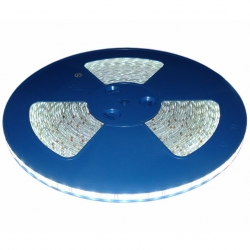 Taśma 60 led 5050 PREMIUM zimna 1m ip65-153