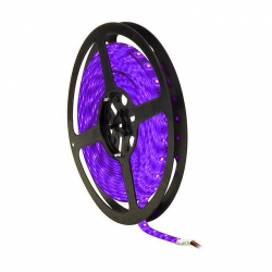 taśma 60 led smd 2835 fioletowa fiolet ip20-34349