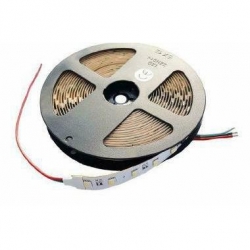 Taśma 24VDC RGBNW 60 led smd 5050 IC 1m cyfrowa 50 pikseli na 5m TM1814B ip20 (RGB+4000K)