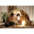 aranz_36682_1-230434
