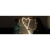 aranz_37239_1-229777