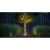 aranz_38583_1-263345
